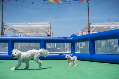 kByMZ8RwTcKGFLnXrqaZ.jpg?w=940&h=940