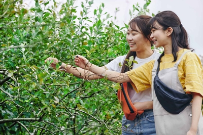 kC2I6Jdg4GL1nRHlwqgv.jpg?w=940&h=940