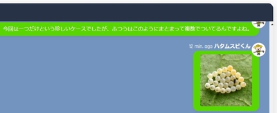 Q&Aチャットイメージ２
