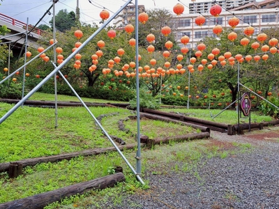 kEdvETIJIA0fXwPYt41K.jpg?w=940&h=940