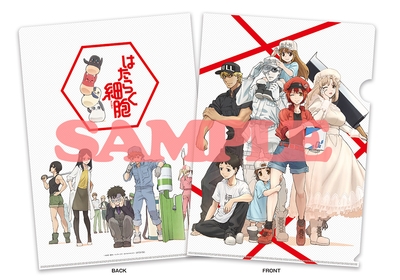 kFaySSAIWAwcocpLMund.jpg?w=940&h=940