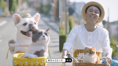 kFpr6w21Dv2za8LW0ufQ.jpg?w=940&h=940