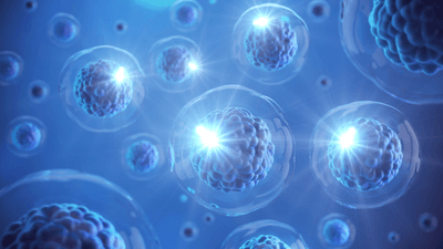 kG1KMUV73FUChEd9mZmu.png?w=940&h=940