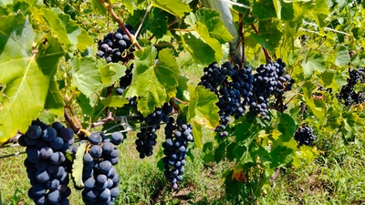 kG2wqrPw73o791oK38eV.jpg?w=940&h=940