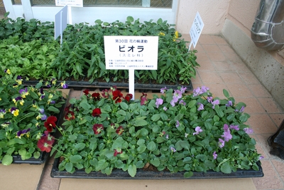 kGCuWP47yfUc76CJviMR.jpg?w=940&h=940