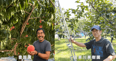 kHkDo9BfqZ1O5e1kuwnv.png?w=940&h=940