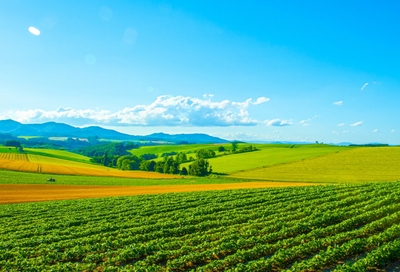 kHoztDZwagRsp8aOjzXI.jpg?w=940&h=940