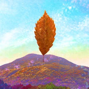 kIFiAHK1d4q7xPBa7vj4.jpeg?w=940&h=940