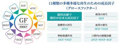 高濃度幹細胞培養上清液