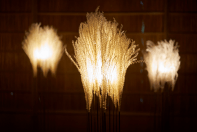 秋の草花の行灯(イメージ)