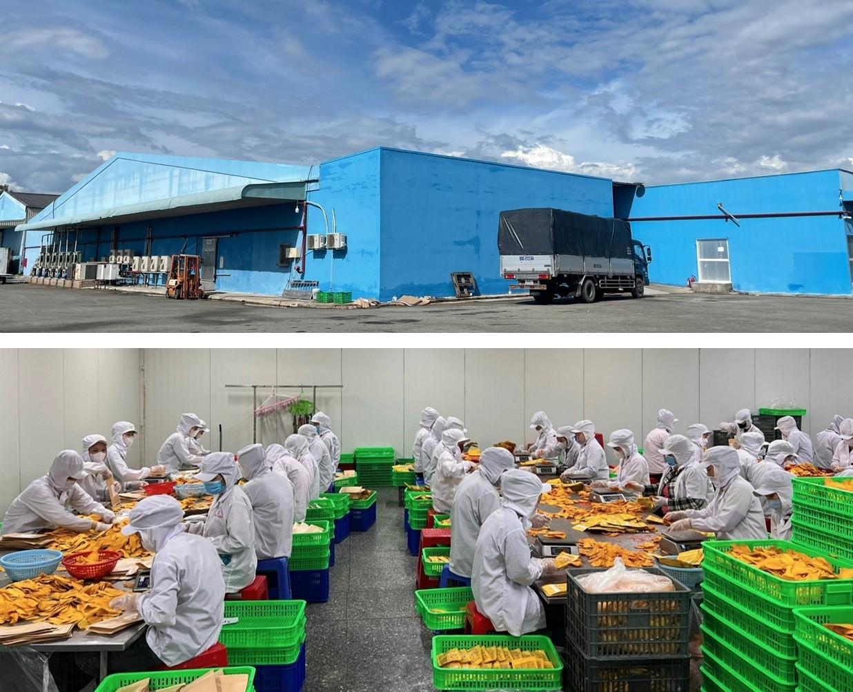 製造工場の特徴