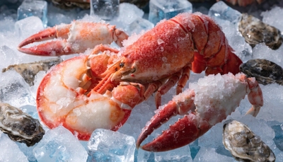 kKMHVwm2LSs951qePmb4.jpg?w=940&h=940