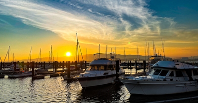 kKXLrwbr6p6tiAG6j219.jpg?w=940&h=940