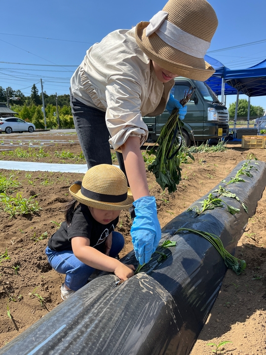 大人から小さなお子様までゆったり自然に触れ合う時間がすごせます
