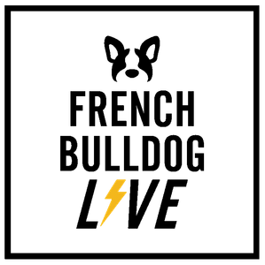 kMjDRILhqswRbKVWfPl1.png?w=940&h=940