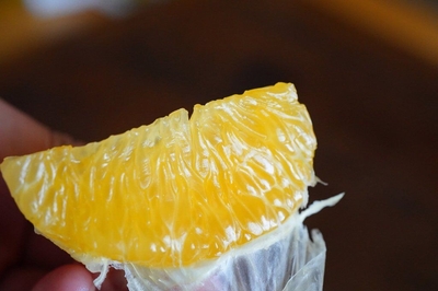 kOLSqwNZhTo7k41niidw.jpg?w=940&h=940