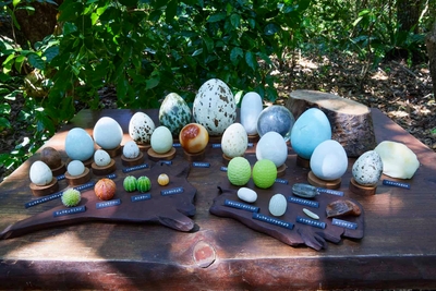 kOPLvh5LDd75aoGWpz1H.jpg?w=940&h=940