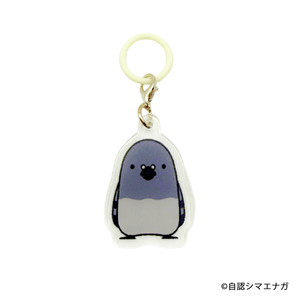 kOhtplHzIvMCI7m0Fydl.png?w=940&h=940