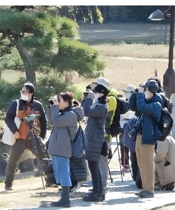 kPE6otWfLK1lYuRWg6fy.jpg?w=940&h=940