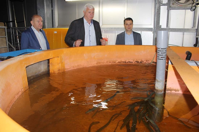 元気良く泳ぎ回るウナギに見入るディミトロフ市長(中央)