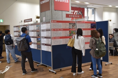 kQsHLGt8oBLmwJFg4zNZ.jpg?w=940&h=940