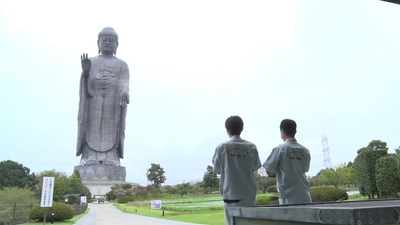 kR8vlVKePAB9hF9GUKOZ.jpg?w=940&h=940