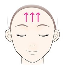 kRf08ebvCQApZZ0miOor.jpg?w=940&h=940