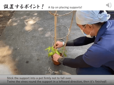 kSnOthcnQXYn426TM4yT.png?w=940&h=940