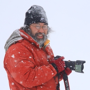 kUGpWxSBtkrqC9tYiV7a.jpg?w=940&h=940