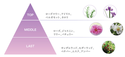kUiSjW7UHZeSUGog0goq.png?w=940&h=940