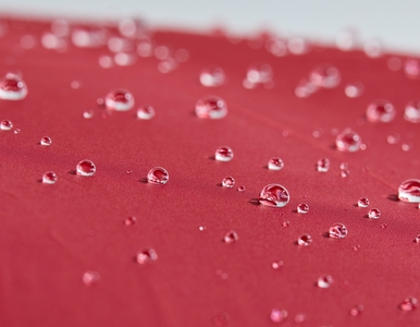 kUv1S3wDidrh4cg1GtMv.jpg?w=940&h=940