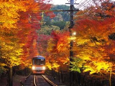 kWBfta4tmCeq66dYP2v5.jpg?w=940&h=940