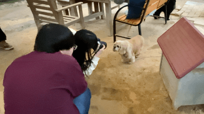 kX24pYSAZWzPIJ8Qt3Y7.png?w=940&h=940