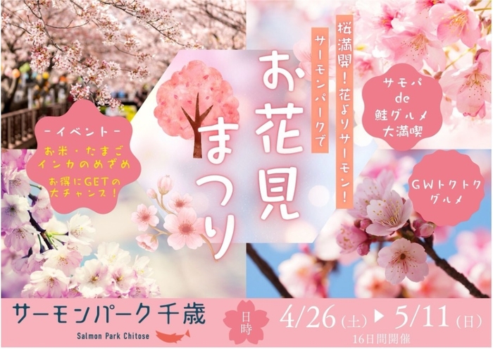 桜満開!花よりサーモン!サーモンパークでお花見まつり