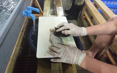 kZLfKYmxjIKLCqm68iLf.jpg?w=940&h=940