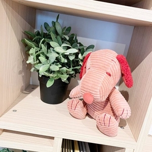 kaIkzurWNnlniD5tjfmq.jpg?w=940&h=940