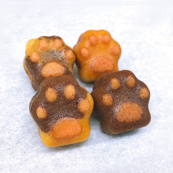 AMMONITE COFFEE MARKET