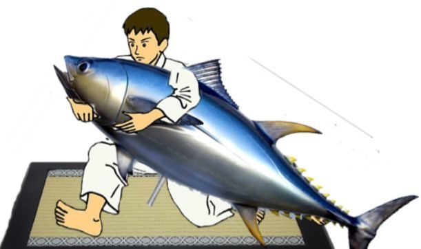 世界初、まぐろに寝技をかけられる？！「まぐろ食堂」オープン！ 天然