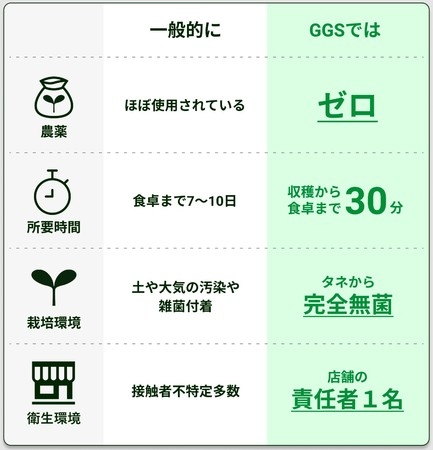 一般的な野菜との比較