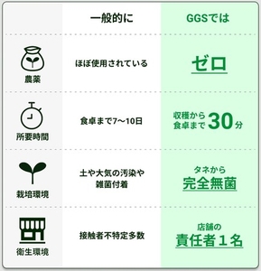 一般的な野菜との比較