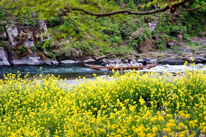 長瀞ラインくだり イメージ2