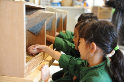 kcWenagxKCapw5tC8rCT.JPG?w=940&h=940