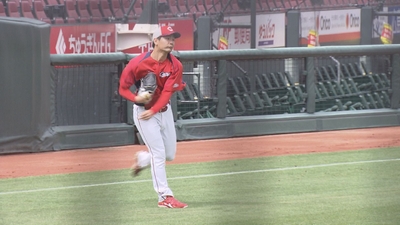 kd7WioDSrbOkAgXOJfnu.jpg?w=940&h=940