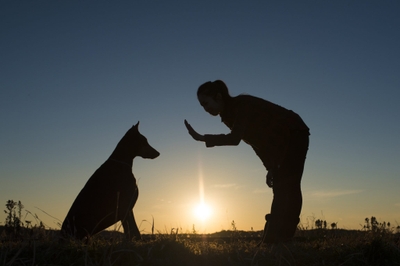 kdPNFTZrUO6oq0ZsPnOR.jpeg?w=940&h=940