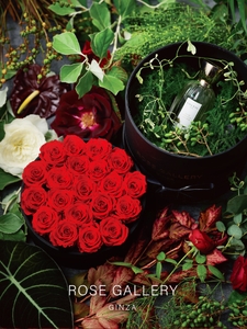 ked9nZiZrCC6DhlWmP7U.jpg?w=940&h=940