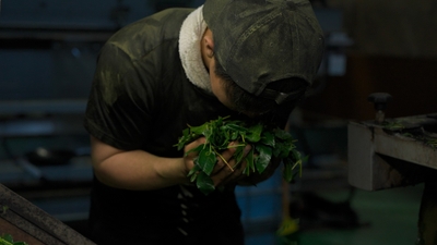 kfT3b0XuOz7DlRLTnVM7.jpg?w=940&h=940