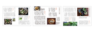 kgGvUdrOwUgqHyrbkFTO.jpg?w=940&h=940