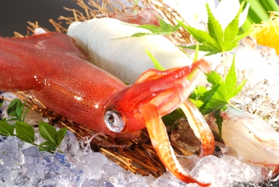 鮮度抜群の活け烏賊