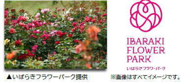 kgtVVYErHcza9JHsK0Q5.png?w=940&h=940