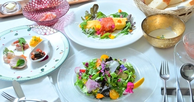 淡路島に“ボタニカル・オーベルジュ”誕生！自然と美食を融合した「Auberge フレンチの森」リニューアル＆特別キャンペーン開始